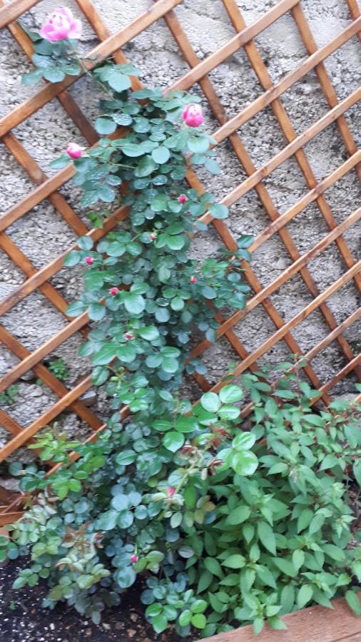 Apartman Hidden Gem ชิเบนิก ภายนอก รูปภาพ